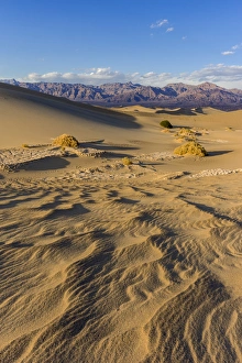 Images Dated 27th February 2015: The Mesquite sand dunes in Death Valley National Park, California, USA