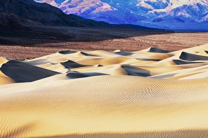 California Prints: Mesquite Sand Dunes. Grapevine Mountains in the Background. Death Valley. California