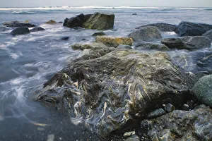 Metamorphic rocks, Yakutat Beach, Alaska