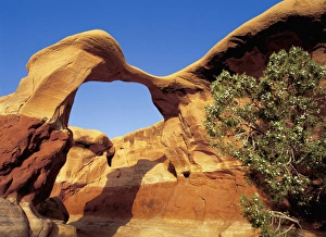 Metate Arch stands guard in Devils Garden, Grand Staircase National Monument, Utah
