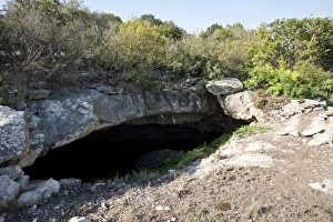 Images Dated 14th August 2008: Mexican Free-tailed Bats (Tadarida brasiliensis) going into Stuart Bat Cave at Kickapoo