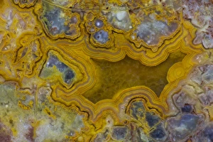 Natural Pattern Prints: Mexican Yellow Crazy Lace Agate