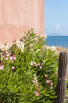 Mexico, Baja California Sur. Loreto Bay