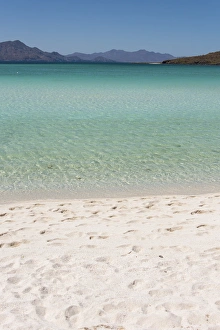 Sea Of Cortez Prints: Mexico, Baja California Sur, Sea of Cortez