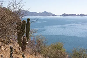 Baja Prints: Mexico, Baja California Sur, Sea of Cortez, Loreto Bay