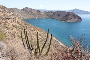 Baja Prints: Mexico, Baja California Sur, Sea of Cortez Protected bay with moorage