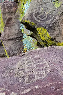 Bridle Prints: Mexico, Baja California Sur, Sierra de San Francisco