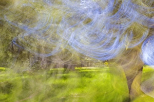 Images Dated 22nd February 2013: Mexico, Baja California, Tecate. Motion blur of Rancho La Puerta scene. Credit as