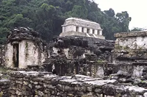 Mayan Prints: 06