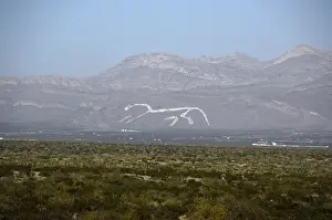 Chihuahua Prints: Mexico, Chihuahua. Giant white horse painted on mountainside at Mexico / New Mexico