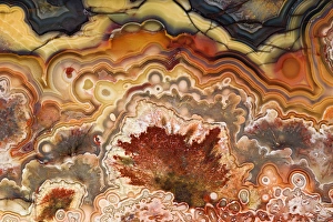 Images Dated 30th March 2009: Mexico. Close-up of Crazy Lace Agate stone