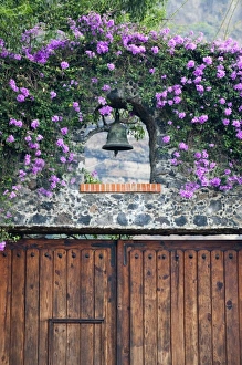 Images Dated 15th January 2009: Mexico. Close-up of wooden door and bell