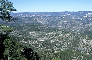 Images Dated 5th February 2010: Mexico, countryside between Creel and Batopilas