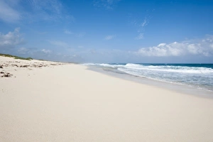 Mexico, Cozumel. Punta Morena beach, Isla de Cozumel (Cozumel Island)