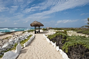 Isla Prints: Mexico, Cozumel. Punta Sur Park, Isla de Cozumel (Cozumel Island)