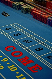 Images Dated 7th February 2007: Mexico cruise. Princess Cruises Dawn Princess casino, gaming table, come line