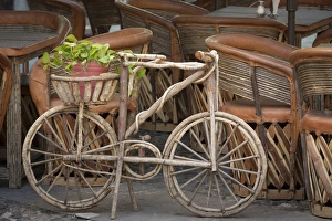 Bicycle Prints: Mexico, Guanajuato. Wooden bicycle with potted plant