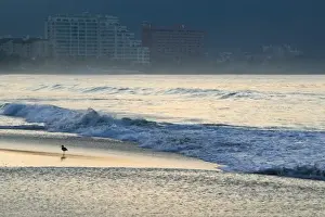 Mexico, Guerrero, Ixtapa. Playa del Palmar Beach / Dawn
