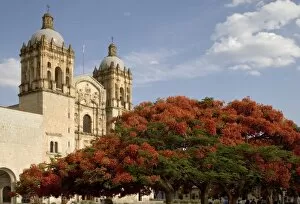 Images Dated 20th April 2005: Mexico, Oaxaca, Morning sun lights flame trees and the Iglesia Santo Domingo near