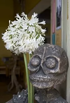 Mexico, Oaxaca, Skull of Day of the Dead skeleton adorned with white flowers at restaurant