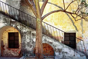 Architecture Collection: Mexico, Queretaro. Tree and weathered stairway