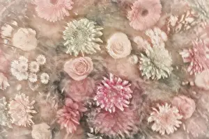 Rancho La Puerta Prints: Mexico, Rancho La Puerta. Abstract impression of a flower arrangement. Credit as