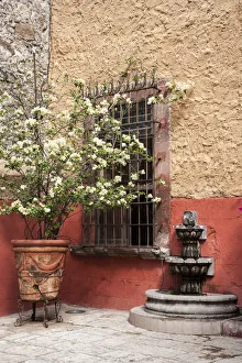Images Dated 1st November 2008: Mexico, San Miguel de Allende, Courtyard in San Miguel de Allende