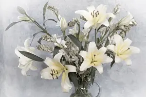 Images Dated 14th March 2013: Mexico, San Miguel de Allende. Flower arrangement with lilies