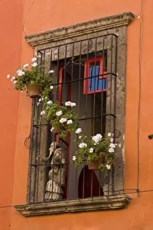 Mexico, San Miguel de Allende. Flower pots decorate window with iron grill and statue