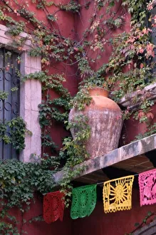 Images Dated 3rd December 2006: Mexico, San Miguel de Allende, Ivy, clay pot, and banners