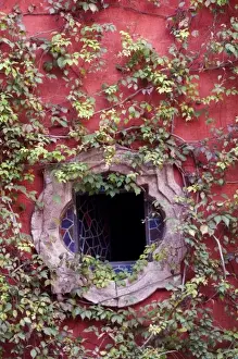 Images Dated 3rd December 2006: Mexico, San Miguel de Allende, Ivy on Stucco Wall with Tile Window