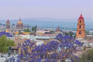 Images Dated 20th March 2013: Mexico, San Miguel de Allende. Jacaranda tree and city overview