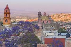 Images Dated 18th March 2013: Mexico, San Miguel de Allende. Jacaranda tree and city overview