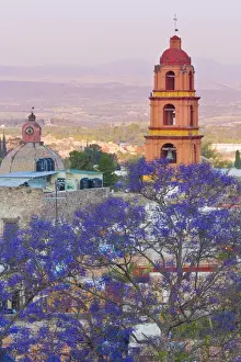Images Dated 18th March 2013: Mexico, San Miguel de Allende. Jacaranda tree and city overview