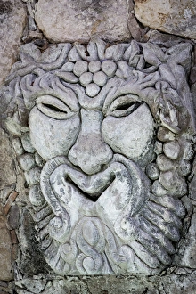 Images Dated 22nd March 2013: Mexico, San Miguel de Allende. Detail of lion sculpture