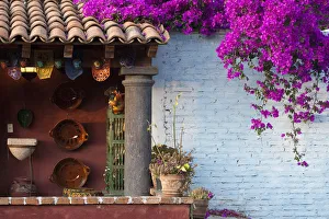 Porch Prints: Mexico, San Miguel de Allende, Rooftop in San Miguel de Allende