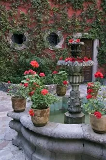 Mexico, San Miguel de Allende, Terrace with geraniums on fountain in front of home