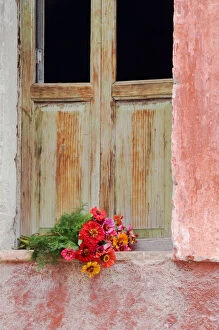 Images Dated 11th November 2006: Mexico, San Miguel de Allende. Zinnias outside window frame