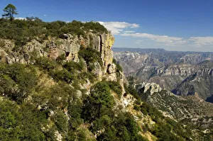 Copper Canyon Prints: Mexico, State of Chihuahua, Copper Canyon. THIS IMAGE HAS SOME RESTRICTIONS FOR US