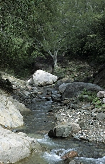 Copper Canyon Prints: Mexico, stream in Copper Canyon