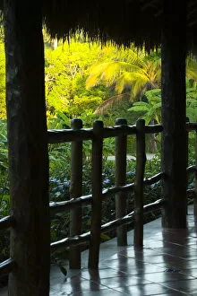 Mexico, Yucatan, Chichen Itza, view of garden from bungalow porch at Mayaland Hotel, PR