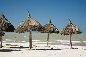 Mexico, Yucatan Peninsula, Progreso. Thatch palapa made from Mexican palm leaves