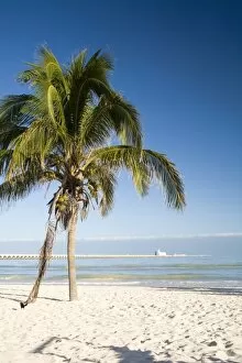Mexico, Yucatan, Progreso. The beach of Progreso with the 5 mile long Progreso pier
