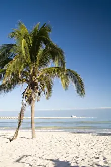 Mexico, Yucatan, Progreso. The beach of Progreso with the 5 mile long Progreso pier