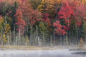 Images Dated 1st July 2020: Michigan, Upper Peninsula, Hiawatha National Forest, Autumn colors at a foggy lake