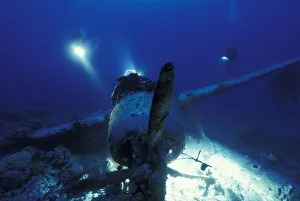 Micronesia, Palau, World Heritage Site. Divers inspecting WWII Japanese Jake Seaplane
