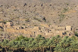 Palm Frond Prints: Middle East, Arabian Peninsula, Oman, Ad Dakhiliyah, Al Hamra