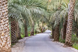Middle East, Arabian Peninsula, Oman, Ad Dakhiliyah, Nizwa