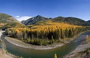 Flat Head Prints: Middle Fork of the Flathead River in autumn near Essex Montana