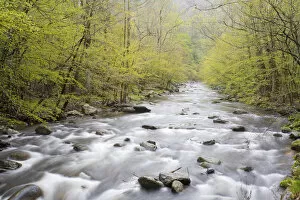 Images Dated 15th April 2007: Middle Prong of the Little River in spring, Tremont Area, Great Smoky Mountain National Park